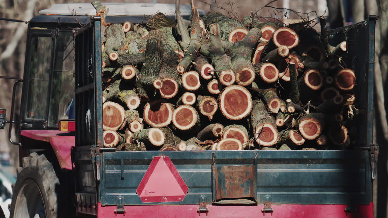 Wide shot of a trailer filled with logs moving through a park on a sunny day
