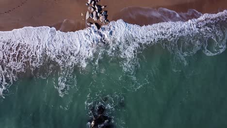 italian coastline, morning light, bird's-eye view - rocks on the beach hit by the waves of the adriatic sea - zoom out aerial footage