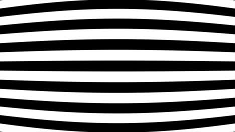 black and white striped patterns