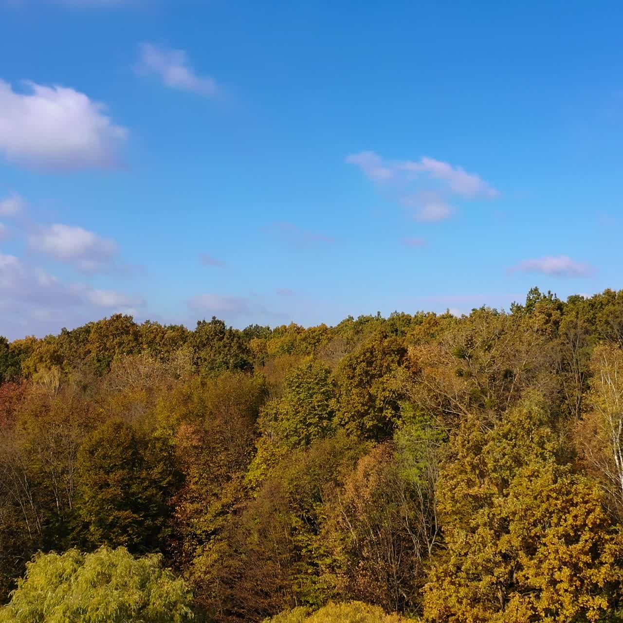 Beautiful sunny autumn day outside the city. Wooded landscape by the narrow river canal. Aerial footage rising from the river up over the trees