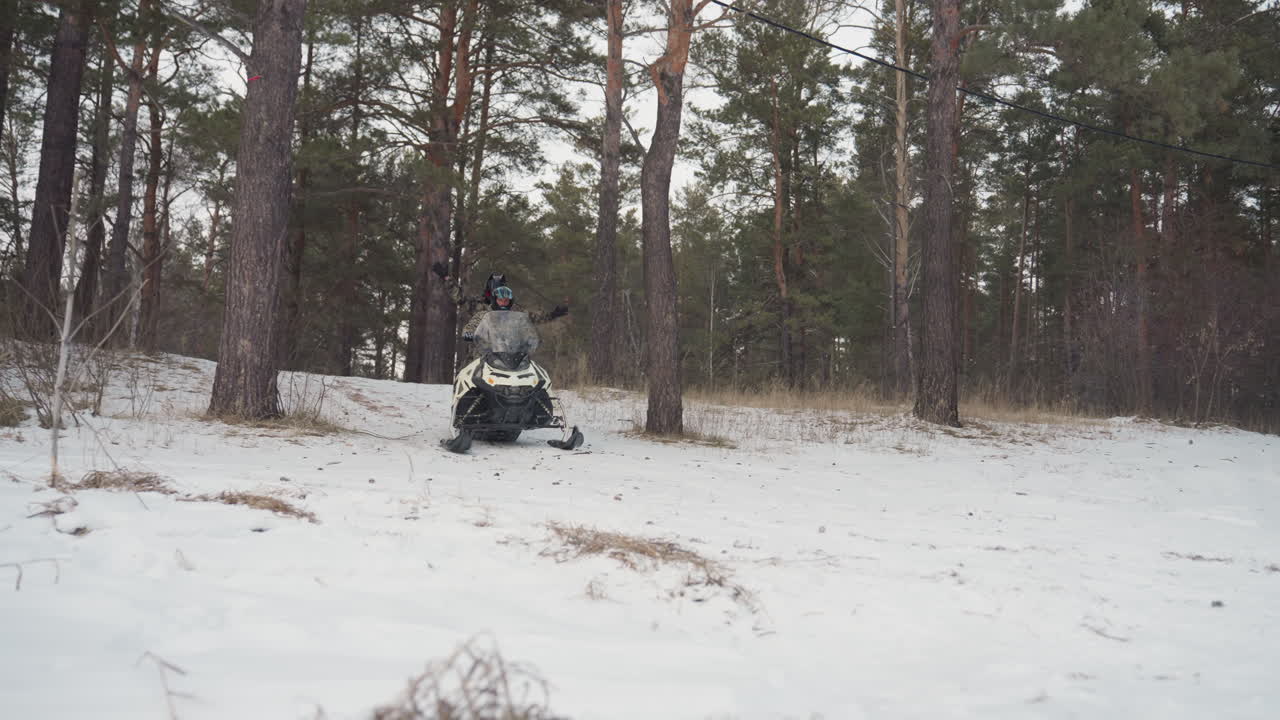 Motoslitta che emerge da un sentiero in una pineta sotto una leggera nevicata, un motociclista solitario percorre uno stretto sentiero a passo costante, tracce nella neve fresca conducono attraverso un bosco silenzioso, occhiali e casco visibili.