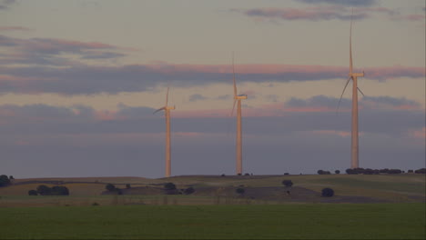 three electric wind turbines at sunset in a field