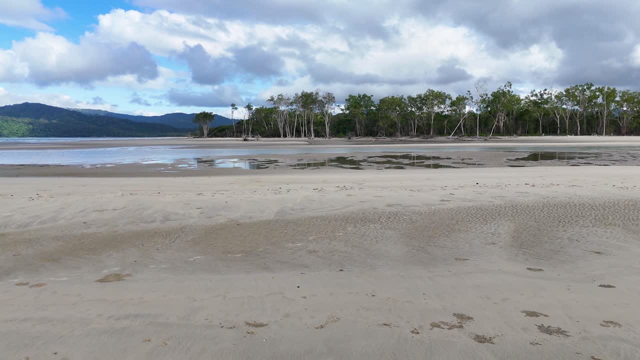 Wide-angle pan reveals sandy beach, mangrove trees, and cloudy sky in natural daylight