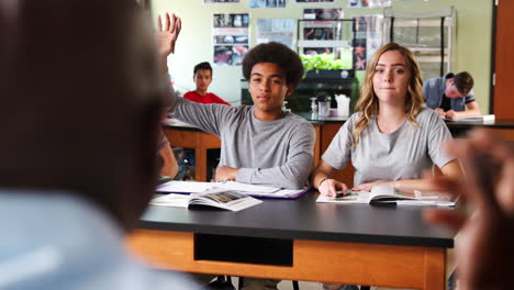 male high school tutor teaching students in biology class