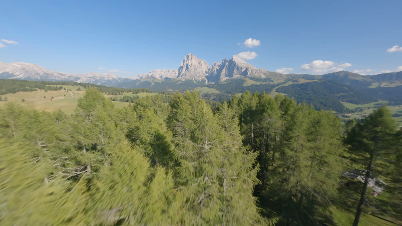 el dron fpv vuela extremadamente cerca de las cimas de los árboles y revela montañas de dolomitas en el horizonte