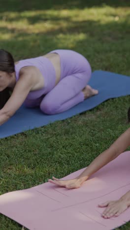 women practicing yoga in a park