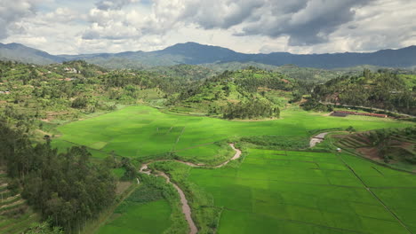 wide drone shot in rural rwanda