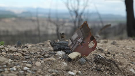 Zerstörtes-Foto,-Das-Nach-Einem-Lauffeuer-In-Verbrannten-Waldboden-Fällt