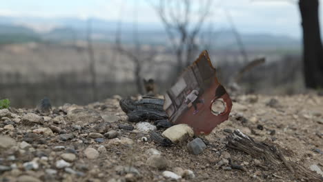 foto arruinada cayendo en un bosque quemado después de un incendio forestal