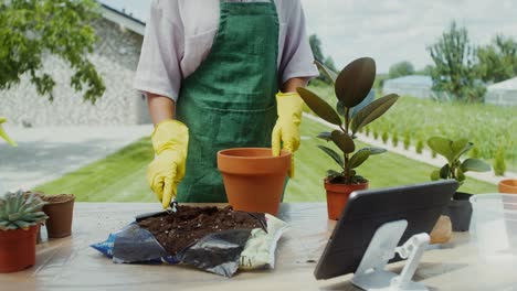 woman repotting plants