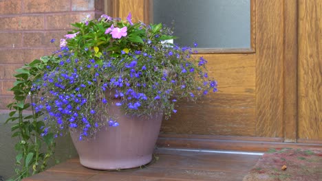 a flowerpot in front of a house