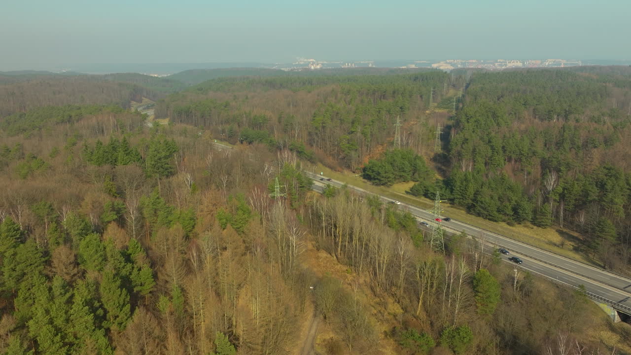 con vistas al denso bosque, predominantemente de hoja perenne, que rodea la carretera que conduce a gdynia, mezcla armoniosa de naturaleza e infraestructura, con vistas lejanas del paisaje urbano bajo un cielo despejado
