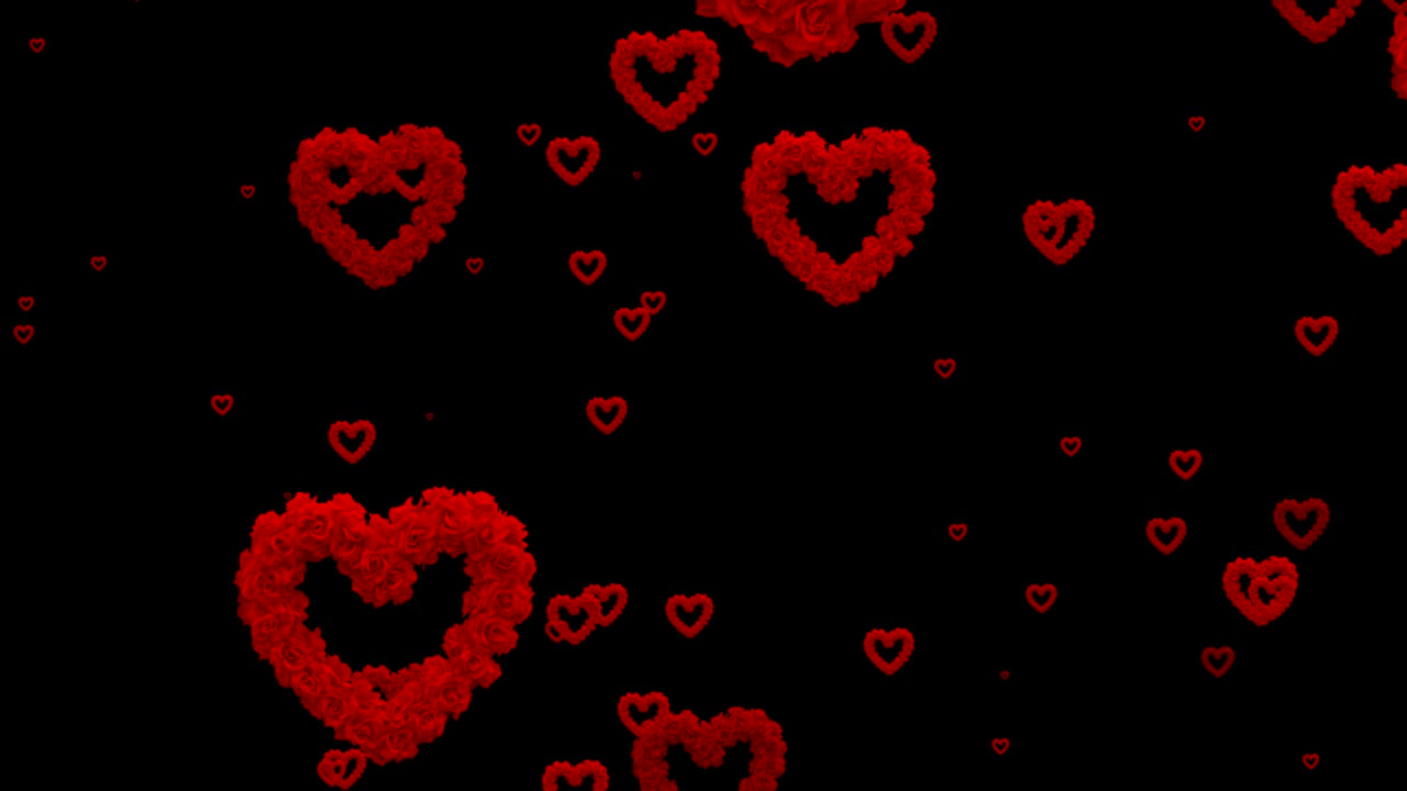 빨간색 다채로운 장미와 심장이 검은색 배경에 날아다니는 애니메이션, 사랑과 발렌타인 데이