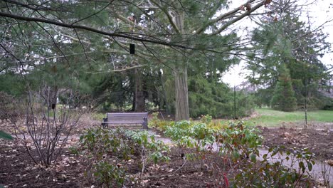 Leere-Holzbank-Im-Botanischen-Garten,-Spätwinter,-Frühfrühling,-Weitwinkelaufnahme-Ohne-Menschen