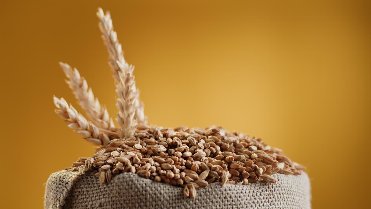 밀 씨은 버 봉투에 넣습니다.