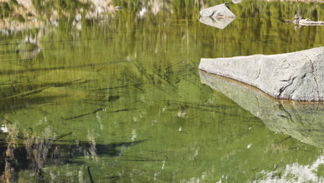 Clear-mountain-pond-with-midday-reflections