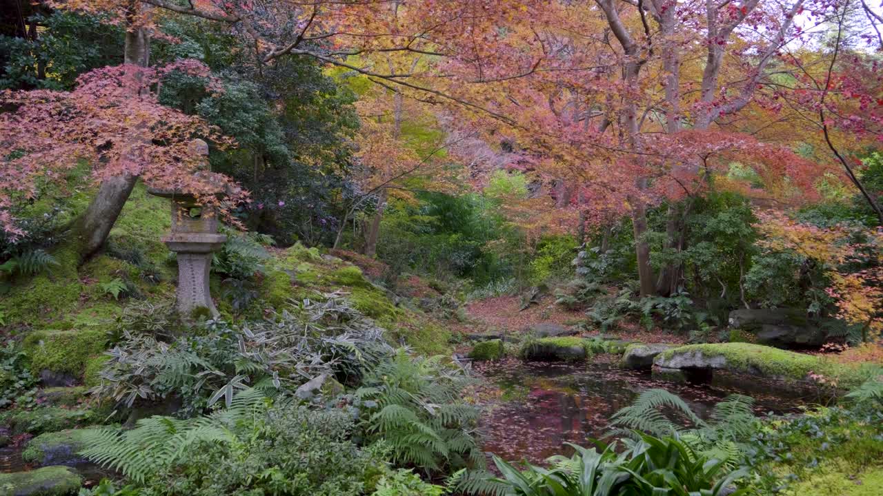 Slow panning shot over mysterious landscape garden in Japan during fall