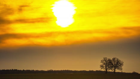 Lebhafter-Gelber-Sonnenaufgang-Im-Zeitraffer-Mit-Bäumen-Und-Feurigem-Himmel