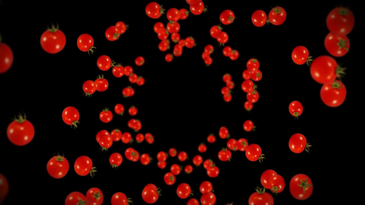 검은색 바탕에 많은 신선한 토마토를 날아. 유기 채소. 익은 맛있는 체리 토마토. 토마토 회전의 3d 루프 애니메이션.