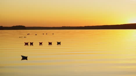 paper boats floating in the river. boat on the water. beautiful sunset. origami. river. lake.