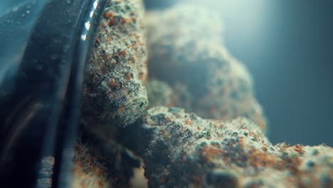 una toma cinematográfica macro vertical de una planta de cannabis, variedades híbridas de naranja, sativa, flor de marihuana, en un soporte giratorio, full hd, super cámara lenta, 120 fps, iluminación de estudio