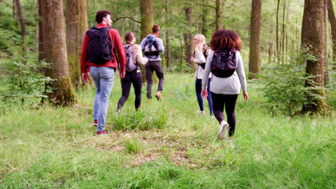 A multi ethnic group of five young adult friends walking in a forest during a hike,  back view