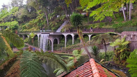 Slow-motion-shot-of-tropical-botanical-garden-with-palm-trees-and-waterfall