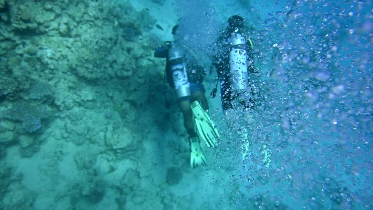 Divers swimming and exploring in the red sea