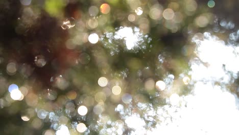 fondo de video bokeh borroso