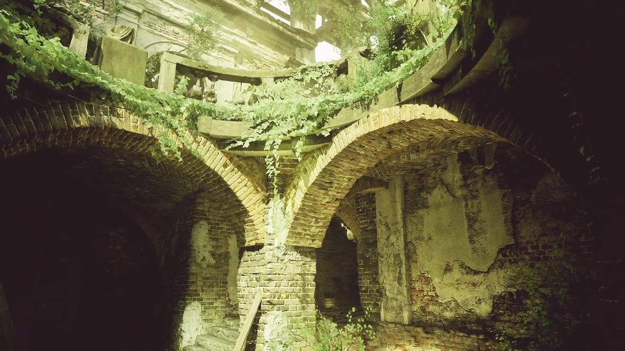 Fotografía que muestra arcos de ladrillo desgastados entrelazados con plantas