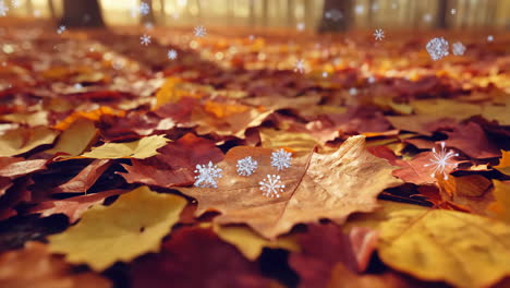 autumn leaves with snow