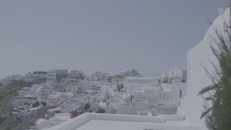 visión general de santorini grecia en un día soleado visto desde una terraza con plantas en frente en cámara lenta y el mar en el fondo que refleja el registro del sol