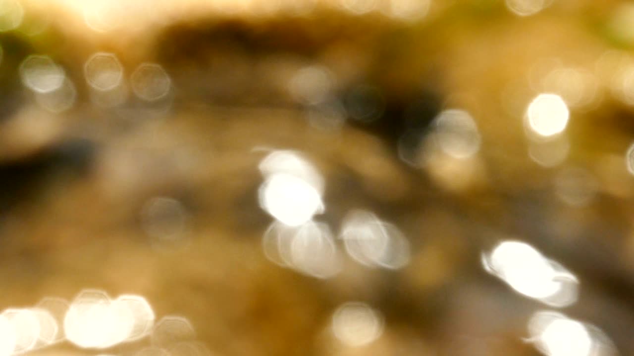 la luz parpadea en el pequeño arroyo que fluye