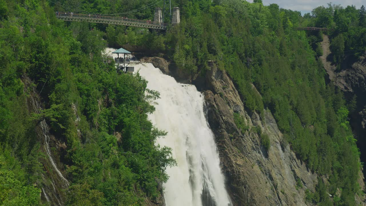 몬트모렌시는 녹색 가지 뒤에 떨어집니다.