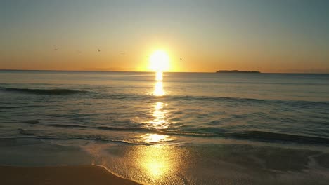 flying backwards near the water over the ocean at a beach sunrise reaching the sand while seagulls fly by