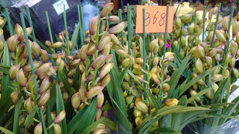 Static-shot-of-flowers-with-their-prices-displayed-at-Mong-Kok-Flower-Market,-Hong-Kong