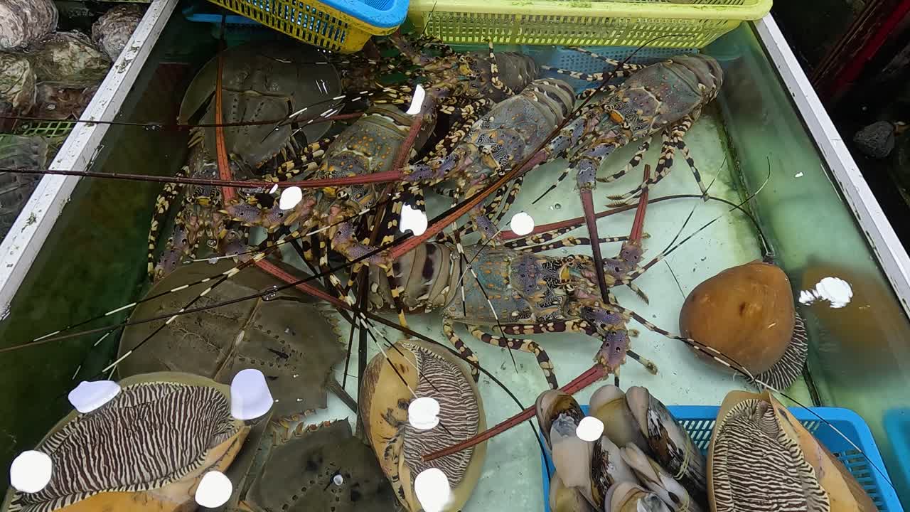 시장 에서 신선 한 해산물 전시