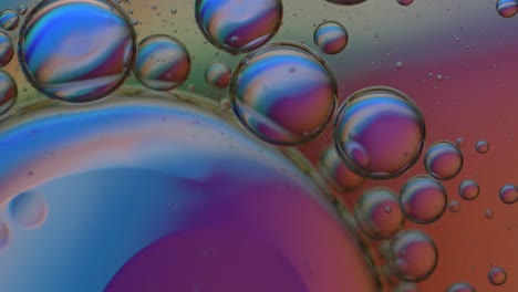 macro: microscopic multicolored fluid particles