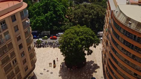 malaga park from cathedral roof