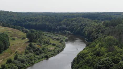 aerial view of a river bordered by thick forest
