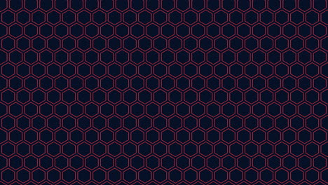 symmetrical black and red hexagon pattern