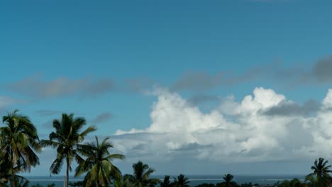 Timelapse-De-Nubes-Sobre-El-Océano-Pacífico-Sur-Y-Cocoteros-Meciéndose-En-El-Viento