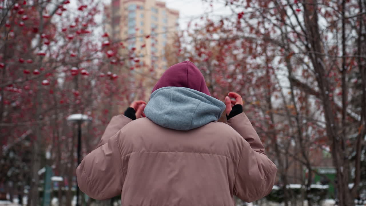 vista trasera de una persona paseando por un parque de invierno frío ajustando su gorra para el calor, suelo cubierto de nieve, árboles desnudos con bayas rojas y fondo borroso