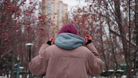 rear view of person strolling through chilly winter park adjusting beanie for warmth, snow-covered ground, bare trees with red berries, and blurred background