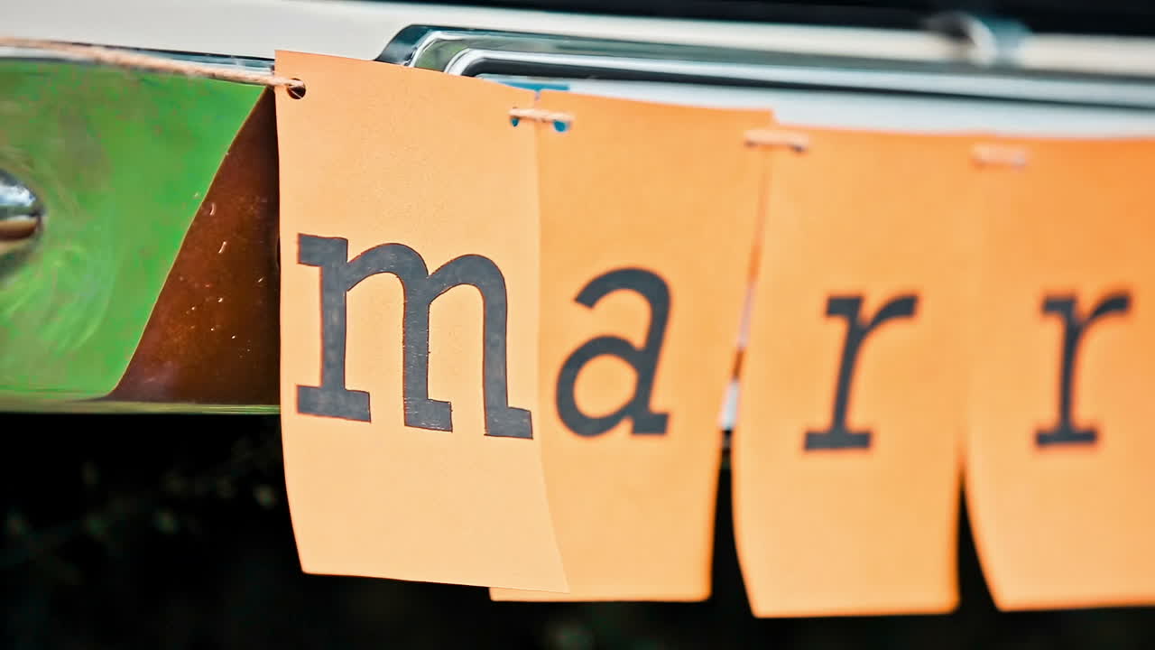 Beautiful Design Decoration Elements. Beautiful design decoration elements for celebration