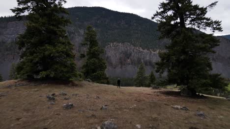 hiker looking out over the stunning landscapes of stemwinder provincial park in british columbia, canada