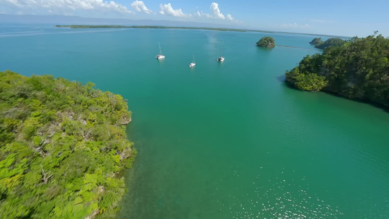 frondosos bosques y océano tranquilo en el parque nacional los haitises en república dominicana - fpv aéreo