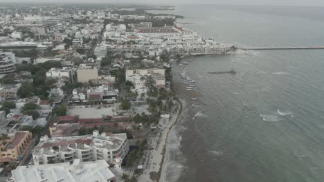 Sargassum-Algen-Am-Strand-Von-Playa-Del-Carmen-Quintana-Roo-Mexiko-16