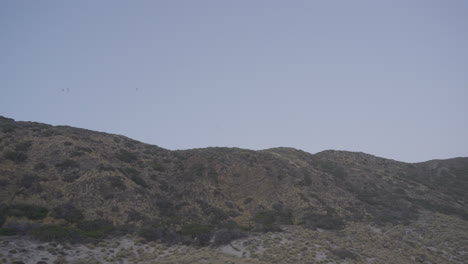 panning shot of tree spotted hill side with a pale blue cloudless sky located at mondo's beach southern california