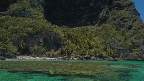 el agua del mar esmeralda y la playa tropical y exótica de playa fronton, república dominicana